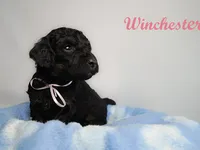 processed/e4bbe38a-4dc3-4cc1-88f2-a2ce6b1e7e9b/listing/822e6aa0-c98d-4b8a-a692-a34fc457a10a/bee4b784-01ff-457d-9a54-5e44eb6626de