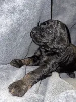 processed/e4bbe38a-4dc3-4cc1-88f2-a2ce6b1e7e9b/listing/834723cf-11b7-46ad-bc8e-3d09ba79e7a8/fec9d4e9-33ff-487c-b539-1169d6bfd6f7