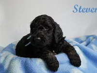 processed/e4bbe38a-4dc3-4cc1-88f2-a2ce6b1e7e9b/listing/aacbf2f4-a398-465e-9d46-25d0473ddd38/11473977-cb5f-4fc0-ab2d-c62492eb1aa5