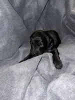 processed/e4bbe38a-4dc3-4cc1-88f2-a2ce6b1e7e9b/listing/aacbf2f4-a398-465e-9d46-25d0473ddd38/67eb3583-0aca-4c75-b284-8be230d03740