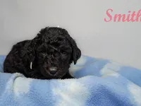 processed/e4bbe38a-4dc3-4cc1-88f2-a2ce6b1e7e9b/listing/d2a4f12b-ecd6-489c-ad0d-84dddfb94b1c/33ca206e-1464-4076-8c9a-74ed8cd4ad56