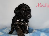 processed/e4bbe38a-4dc3-4cc1-88f2-a2ce6b1e7e9b/listing/db651f34-7deb-4f71-aa8e-eae33b4b0795/6e40973d-31a1-4d3b-9375-5a9a16c6b028