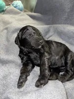 processed/e4bbe38a-4dc3-4cc1-88f2-a2ce6b1e7e9b/listing/db651f34-7deb-4f71-aa8e-eae33b4b0795/d16f7a64-eeb8-4c7b-89a9-ee329d6340b6