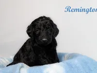 processed/e4bbe38a-4dc3-4cc1-88f2-a2ce6b1e7e9b/listing/f9fa1b86-7e71-40f3-870a-8c70c54490eb/6451bb32-ff35-4ae0-a411-1a04580d4280