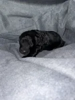 processed/e4bbe38a-4dc3-4cc1-88f2-a2ce6b1e7e9b/listing/f9fa1b86-7e71-40f3-870a-8c70c54490eb/9c1b2b59-016d-4825-8c44-bf8139b2901b