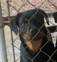 processed/e4bec24d-ba1f-46c0-848c-f0cb2052ace9/listing/43f41070-0dcb-447c-8030-f657fbb0796e/0b98e567-d335-4c91-aadb-08b76cbd9815