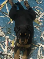 processed/e4bec24d-ba1f-46c0-848c-f0cb2052ace9/listing/749e0f40-3e1d-4933-b7c2-e1cf443ab5d2/d7a6bb37-294c-4aa5-9cda-214c33a924ea