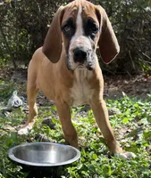 processed/e4c1021b-5347-4b62-93ae-b8982dd46aa9/listing/ad71c8b2-7c69-43f8-9260-306d37e9e0bf/a5a31f60-e132-4782-b6e4-1d08763ad9f0