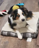 processed/e4c12496-439d-4e27-9fa0-1fc202921b41/facility/98edc4dc-ef9f-4d43-8ff0-6226a0a6e989