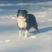 processed/e4c12496-439d-4e27-9fa0-1fc202921b41/facility/ef07269e-6bcc-400b-932f-e7d2ec8f6747