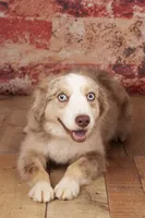 processed/e4c12496-439d-4e27-9fa0-1fc202921b41/facility/f3f14c87-de3b-4eb8-9237-33bf8d1c01a3