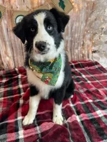 processed/e4c12496-439d-4e27-9fa0-1fc202921b41/facility/f7df1750-616f-464b-8b75-92cb4d227183