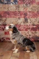 processed/e4c12496-439d-4e27-9fa0-1fc202921b41/facility/f9f70f9d-cb99-46a0-91e2-55cda9884b87