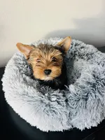 processed/e4c18a9c-d385-4597-b2c9-c38f7b5dab9f/listing/62040e80-9274-47ae-abab-78c5c3b394e7/6adefdd9-7aeb-4fe1-a48e-25e30a2e8e42