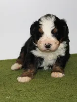 processed/e4c6aea4-7b74-41e1-9866-1e82b70eb1d2/listing/17de156f-7e65-4d12-bfc5-29d7838d7569/df9d80f1-4437-4547-a0ea-a77859977813