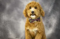 processed/e4cbb41a-5390-4cc4-81a4-42186643a3e4/listing/44fc3207-665e-4d54-b9d6-1fce6dc4b420/2899adbd-366d-4f4e-83d2-22595b3abb4d