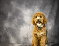 processed/e4cbb41a-5390-4cc4-81a4-42186643a3e4/listing/44fc3207-665e-4d54-b9d6-1fce6dc4b420/69a82986-b112-459d-b93f-8b7c916c16b5