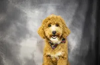 processed/e4cbb41a-5390-4cc4-81a4-42186643a3e4/listing/44fc3207-665e-4d54-b9d6-1fce6dc4b420/d96f9485-932f-494d-99bf-c2d786aa2694