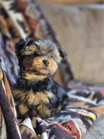 processed/e4d184b8-e2af-4cb5-9f54-82b558f2656f/listing/36918142-db45-48f0-8115-62ebd422332a/02990bd8-924a-4259-8e54-34d8cb59e41b