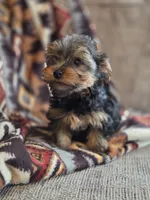 processed/e4d184b8-e2af-4cb5-9f54-82b558f2656f/listing/36918142-db45-48f0-8115-62ebd422332a/7e5aa0d3-e7d0-41b6-a328-c56a1e14d2f7