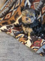 processed/e4d184b8-e2af-4cb5-9f54-82b558f2656f/listing/36918142-db45-48f0-8115-62ebd422332a/82811385-5835-43b2-b634-97b778946990