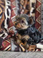 processed/e4d184b8-e2af-4cb5-9f54-82b558f2656f/listing/36918142-db45-48f0-8115-62ebd422332a/966d9508-c4f5-47ca-aab5-9f2b7a74d251