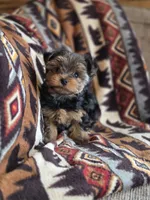 processed/e4d184b8-e2af-4cb5-9f54-82b558f2656f/listing/36918142-db45-48f0-8115-62ebd422332a/d3a47f43-0717-4d3e-b4aa-fcd77ff695c3