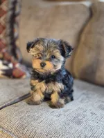 processed/e4d184b8-e2af-4cb5-9f54-82b558f2656f/listing/36918142-db45-48f0-8115-62ebd422332a/d5e5e834-86e4-4180-bd9f-5d3480c7cf9a