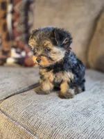 processed/e4d184b8-e2af-4cb5-9f54-82b558f2656f/listing/36918142-db45-48f0-8115-62ebd422332a/e9a1f9ab-9f07-44a9-9e9a-914db7074e2d