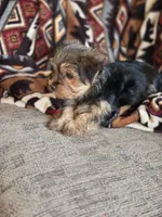 processed/e4d184b8-e2af-4cb5-9f54-82b558f2656f/listing/d01317ef-62d1-4502-859a-633f82a1fc98/0d2b5874-ec73-4167-af46-42e715cb1ac4