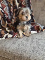 processed/e4d184b8-e2af-4cb5-9f54-82b558f2656f/listing/d01317ef-62d1-4502-859a-633f82a1fc98/2d63a9ed-ef5a-4aaa-b211-729dc8923108