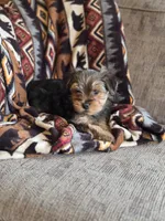 processed/e4d184b8-e2af-4cb5-9f54-82b558f2656f/listing/d01317ef-62d1-4502-859a-633f82a1fc98/7a1d22d4-4350-45f1-a387-d5e0b01f037d