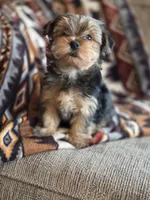 processed/e4d184b8-e2af-4cb5-9f54-82b558f2656f/listing/d01317ef-62d1-4502-859a-633f82a1fc98/a501e7e6-21de-4ba9-a756-2e830293fc5d