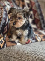 processed/e4d184b8-e2af-4cb5-9f54-82b558f2656f/listing/d01317ef-62d1-4502-859a-633f82a1fc98/caa2a828-33ac-424b-be48-468772525d17