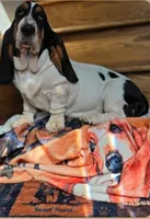 LEH Impressions Dot , a female Basset Hound for sale in Granite Falls, NC – 6 of 10