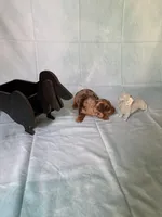 Chocolate Dapple, a female Miniature Dachshund for sale in Eubank, KY – Photo 7 of 10