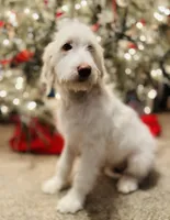 processed/e4eae0f1-1157-48ea-b2d6-d731e63c4f9a/listing/5f5d7f36-51ff-4462-915a-91167c2650a0/b8c928f1-e2fa-42ee-8b98-a3db70703d78