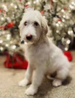 processed/e4eae0f1-1157-48ea-b2d6-d731e63c4f9a/listing/5f5d7f36-51ff-4462-915a-91167c2650a0/da33aa68-41ad-408f-978d-d6916a533d35