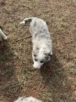 processed/e4ed7ab6-2d06-41d7-8f9e-58a88d025535/listing/08eaee37-4986-4146-a326-1de656fac69c/cde74e77-bce4-4d1d-9519-1897b72e09ae