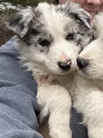 processed/e4ed7ab6-2d06-41d7-8f9e-58a88d025535/listing/08eaee37-4986-4146-a326-1de656fac69c/f7287487-e4d8-4fc1-8624-b75d231995e8