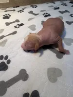 processed/e4ee0077-1fbe-4fc5-abe7-48d3d61b95cc/listing/3c98044a-e56b-489d-a670-689321bcadbd/53211759-95c2-4ee7-b2a5-6ee214e44683