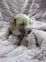 processed/e4ee0077-1fbe-4fc5-abe7-48d3d61b95cc/listing/3c98044a-e56b-489d-a670-689321bcadbd/94187e4c-7245-4d5b-8afc-766e9d238f7c