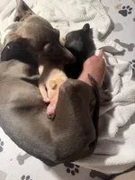 processed/e4ee0077-1fbe-4fc5-abe7-48d3d61b95cc/listing/3c98044a-e56b-489d-a670-689321bcadbd/c97cc3dc-8a68-4abb-b204-b52b7403309f