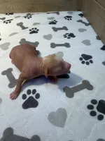 processed/e4ee0077-1fbe-4fc5-abe7-48d3d61b95cc/listing/3c98044a-e56b-489d-a670-689321bcadbd/f4ff931c-e716-4dc9-84ef-37eba537d538