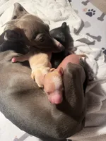 processed/e4ee0077-1fbe-4fc5-abe7-48d3d61b95cc/listing/7a61530f-a411-418f-8ae0-72b6ccabbac2/42741a31-ed43-4317-bda1-d7bbd36f7df0