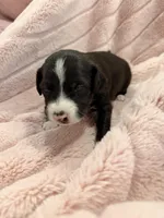 processed/e4ee0077-1fbe-4fc5-abe7-48d3d61b95cc/listing/7a61530f-a411-418f-8ae0-72b6ccabbac2/65a3f17b-8d19-4249-b20a-adde6d3a846f