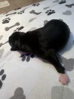 processed/e4ee0077-1fbe-4fc5-abe7-48d3d61b95cc/listing/7a61530f-a411-418f-8ae0-72b6ccabbac2/65e4e0a0-30f8-41e3-b1e5-acc61456be6f