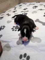 processed/e4ee0077-1fbe-4fc5-abe7-48d3d61b95cc/listing/7a61530f-a411-418f-8ae0-72b6ccabbac2/c3ef9a79-2b37-4d4d-9723-3f84c6e132fb