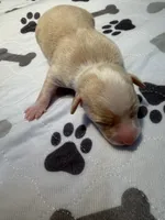 processed/e4ee0077-1fbe-4fc5-abe7-48d3d61b95cc/listing/90010d21-6875-4033-8334-362fc84ace78/76a7012f-4423-4ddb-ac23-3adfc1835401