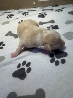 processed/e4ee0077-1fbe-4fc5-abe7-48d3d61b95cc/listing/90010d21-6875-4033-8334-362fc84ace78/df36b7e0-7391-4436-bcd7-bf5ca5ee8430